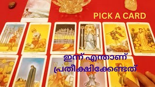 What to expect today 🪬Pick a card 💖Daily Tarot Card Reading 🧿Timeless Reading 💖