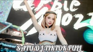 SATU RNBOA DAUIBCRN TIKTOK FULL TERBARU DJ 2024 SBGRUN ANBJSD RNBGIA BGDRIE