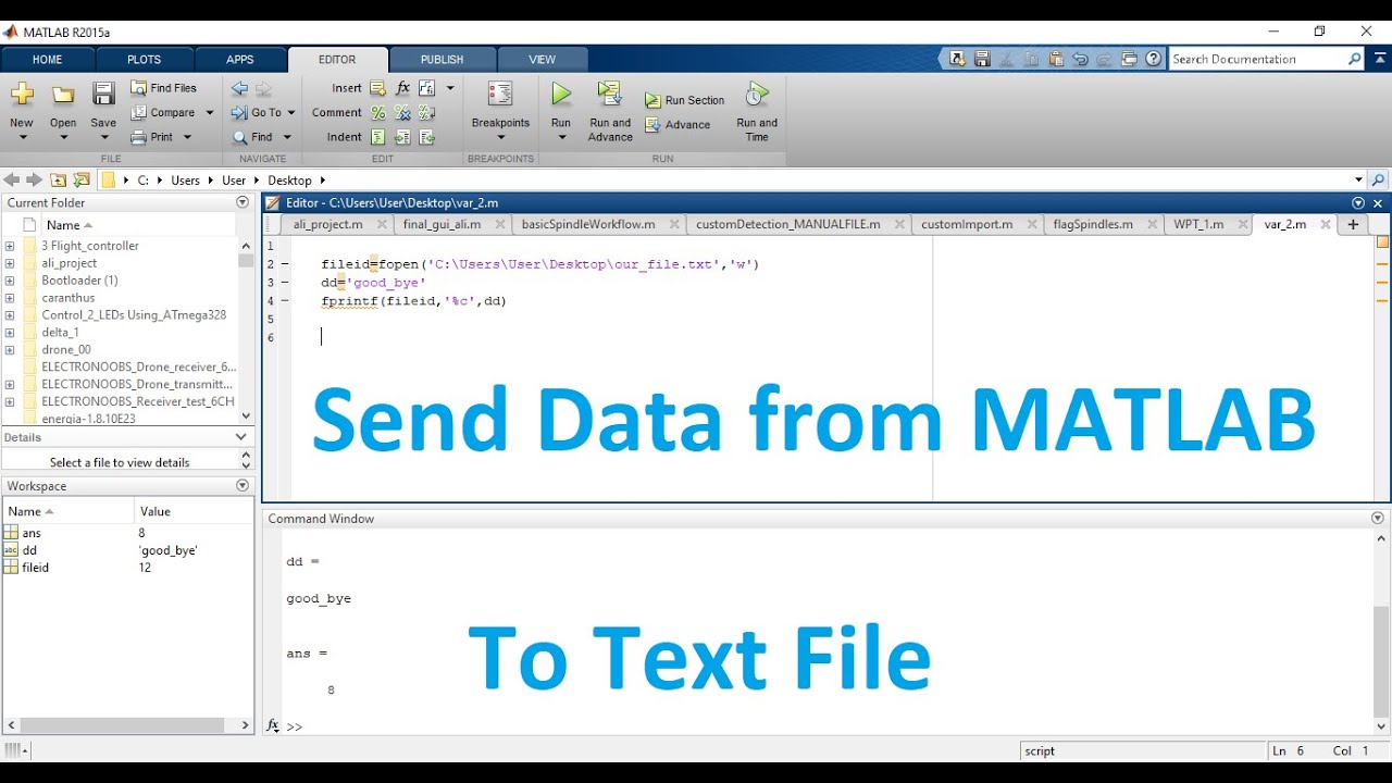 Write Text File Matlab