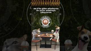 Ota Bka Gülen Arkadaşıma Bir Şeyler Anlatmaya Çalışıyorum