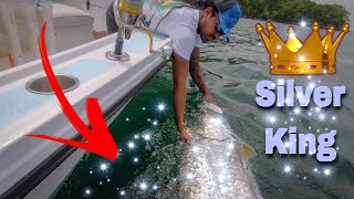 THIS is how you catch TARPON