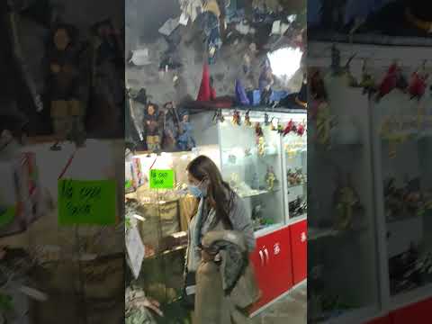 tienda de Brujas en Soportujar con el gato de embrujadas en el mostrador. -  YouTube