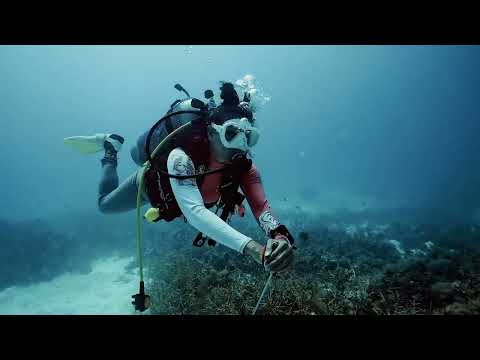 Jejak Wallacea Trailer