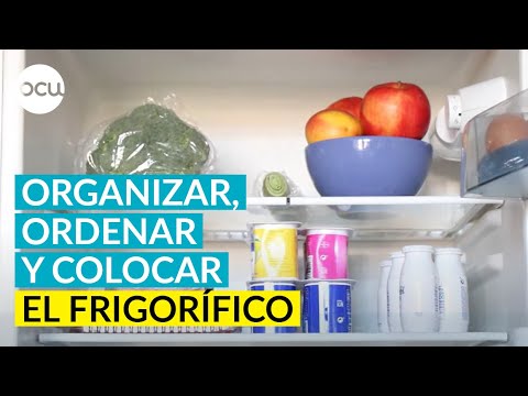 En la nevera ¿dónde colocar cada alimento?