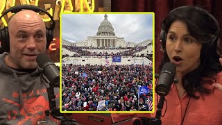 The Aftermath Of January 6th Capitol Protests | Joe Rogan & Tulsi Gabbard