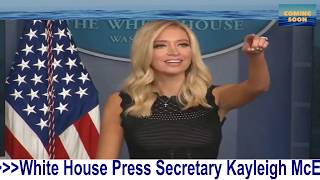 Famous McEnany parents Michael and Leanne McEnany, received somewhere between $1–2 million dollars from PPP Profile