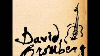 David Bromberg - Yankee's Revenge (Medley) chords