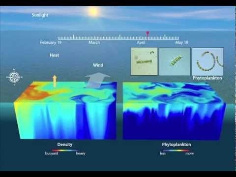 New Trigger for Immense North Atlantic Spring Plankton Bloom