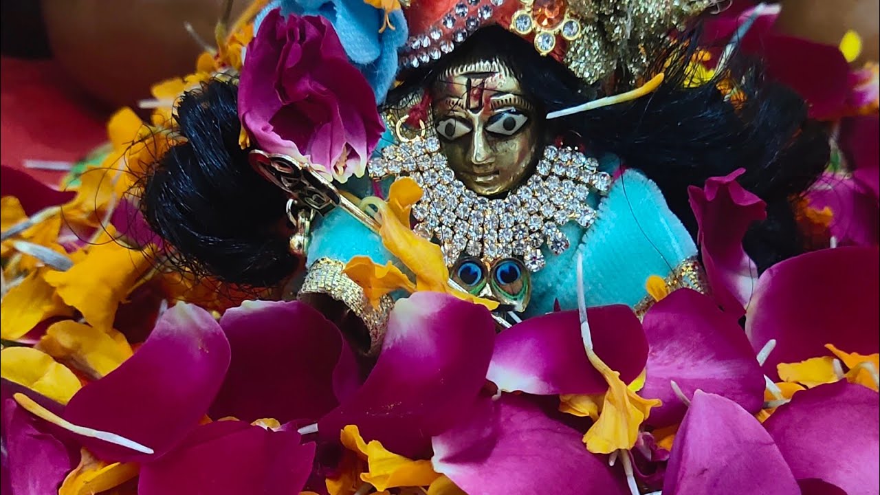 बहुत ही अच्छा लगा कान्हा के साथ फूलों की होली खेलकर 🌹🌼🌹🎉🎉