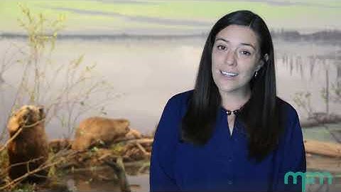 MPM Community of Curiosity