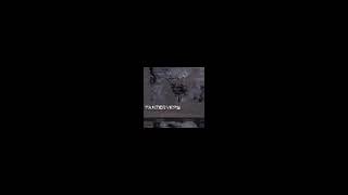 Panzerveps   Bastardlove  Deported