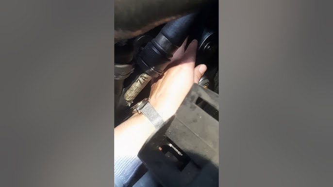 21+ 2008 Honda Civic Belt Diagram