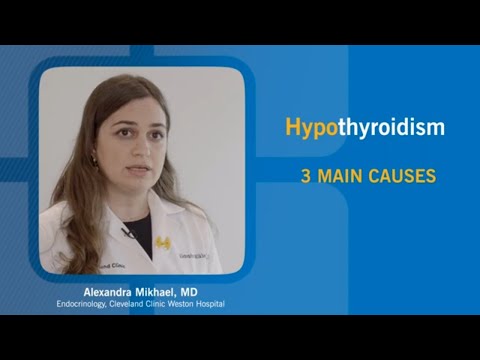 वीडियो: क्या हाइपोथायरायडिज्म के कारण अनसारका हो सकता है?