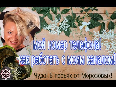 1* Как получить бесплатный номер телефона для активации аккаунтаиз YouTube · Длительность: 19 мин17 с 1* Как получить бесплатный номер телефона для активации аккаунтаиз YouTube · Длительность: 19 мин17 с