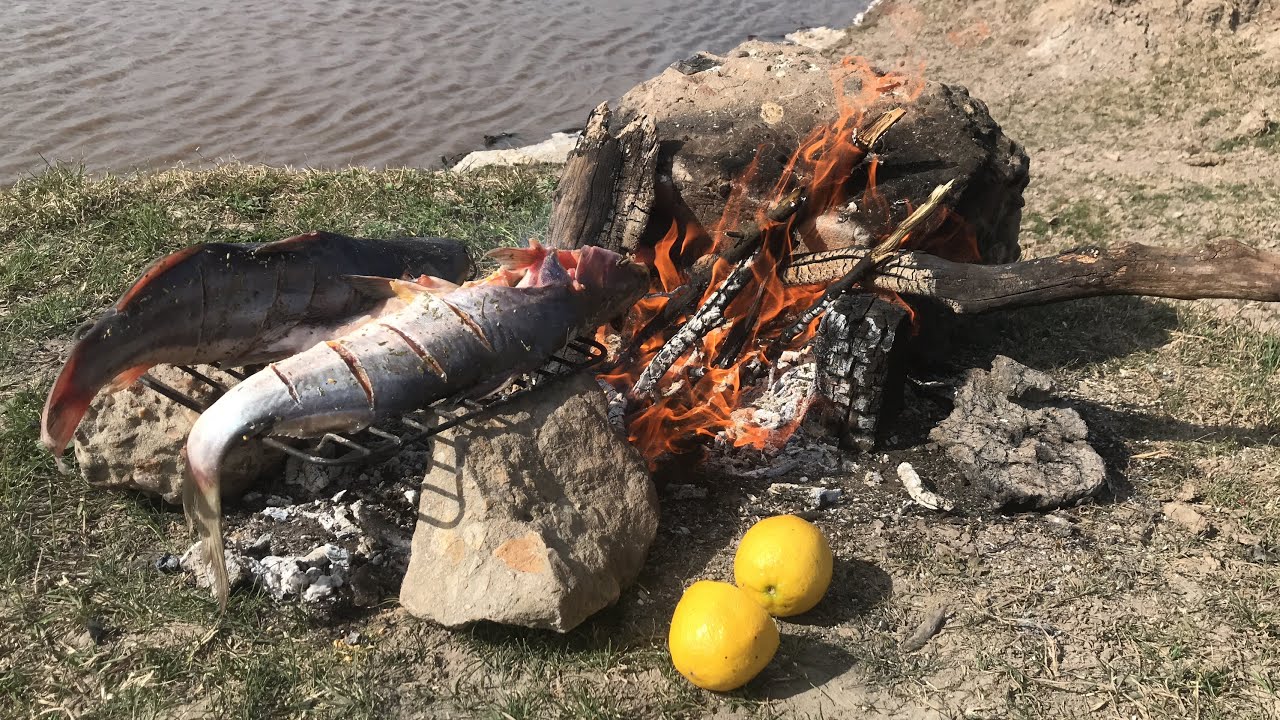 Pesca y Cocina “Bagres a la parrilla“ imperdible lugar para la variada