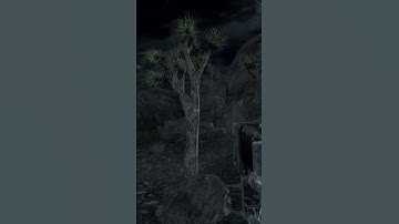 Identifying Fallout NV plants with iNaturalist