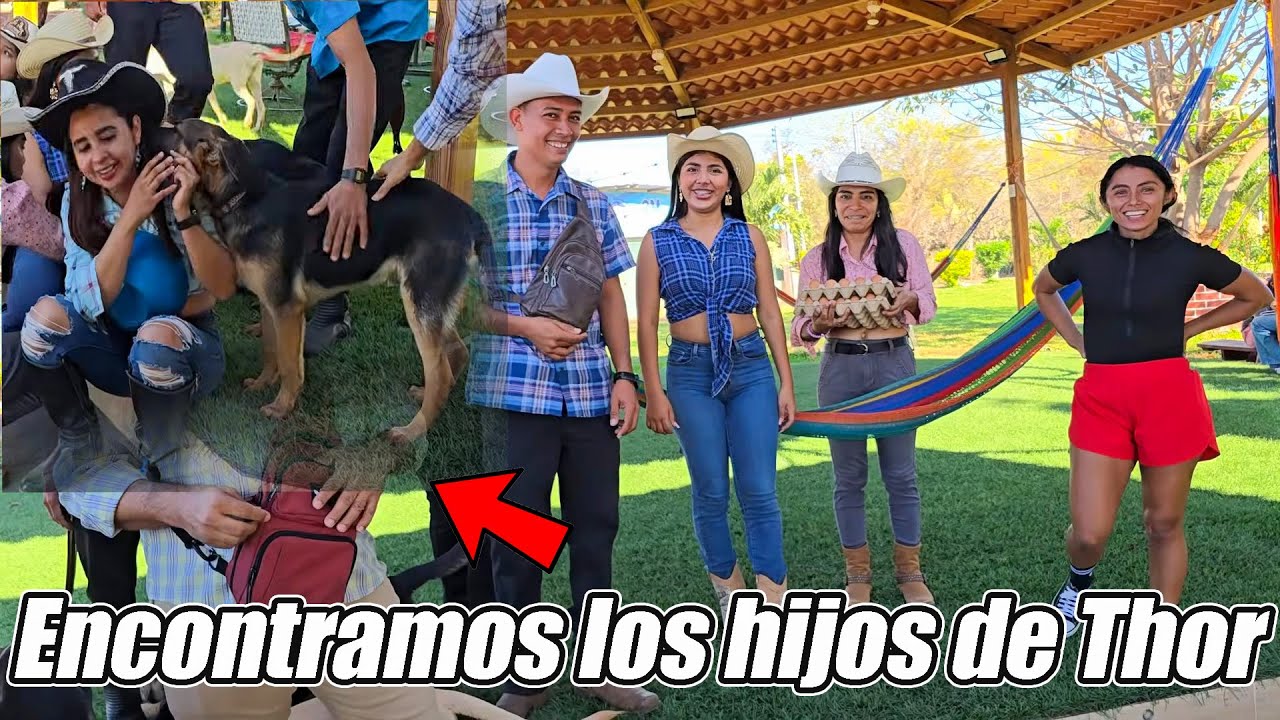 Llegamos a comprar huevos a la cede 4K.😄