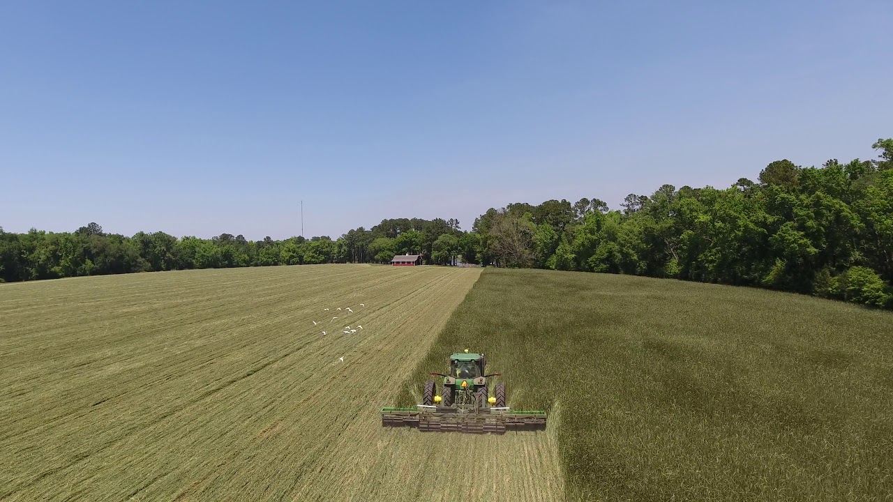 Cover Crop - Cereal Rye