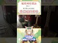 【稲荷神社探訪】中央区銀座　豊岩稲荷神社【Vtuber 衣神ぽろん】#shorts #リモート参拝