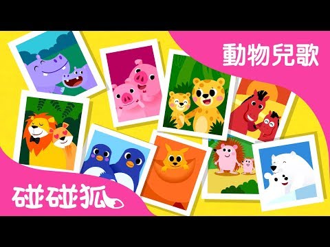 動物一家  |  動物兒歌 | 碰碰狐pinkfong！兒童兒歌