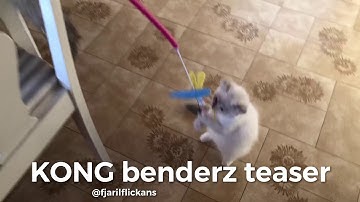 KONG benderz teaser