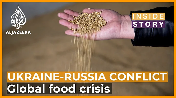 Could Russia's invasion of Ukraine trigger a global food crisis? | Inside Story - DayDayNews