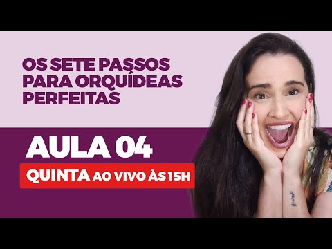 🔴 Aula 04 - Os Sete Passos para Orquídeas Perfeitas