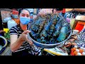 Fresh River Prawn From Market For Special Recipe - Market Tour - Buy River Prawn For Cook