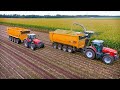 Mais 2021 : Biggest Push off silage trailer in the world!! 75m3 / USA Equipment CF2500 / Jaguar 990