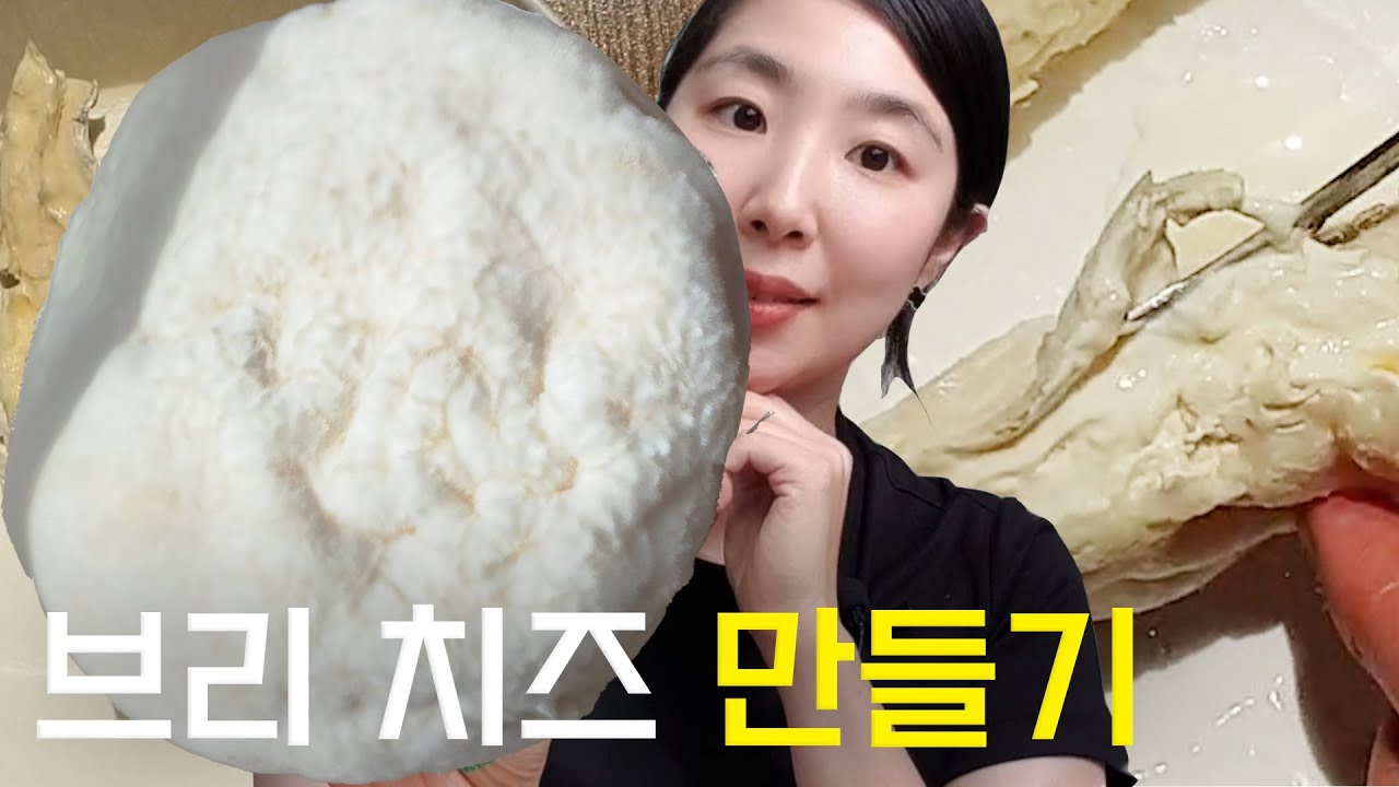 평생 써먹는 그릭요거트로 브리 치즈 만들기 풀버전｜ brie cheese making YouTube