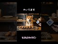 やいてます