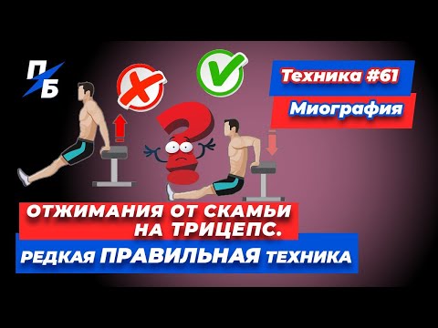 Отжимания от скамьи на трицепс. Редкая ПРАВИЛЬНАЯ Техника 61