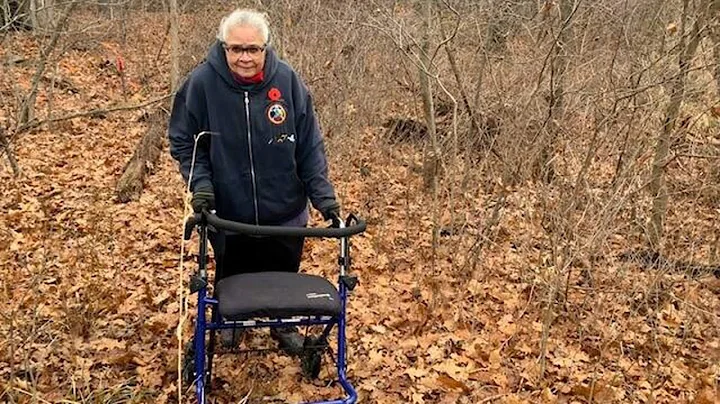 Abandoned Ontario cemetery with Black settler grav...