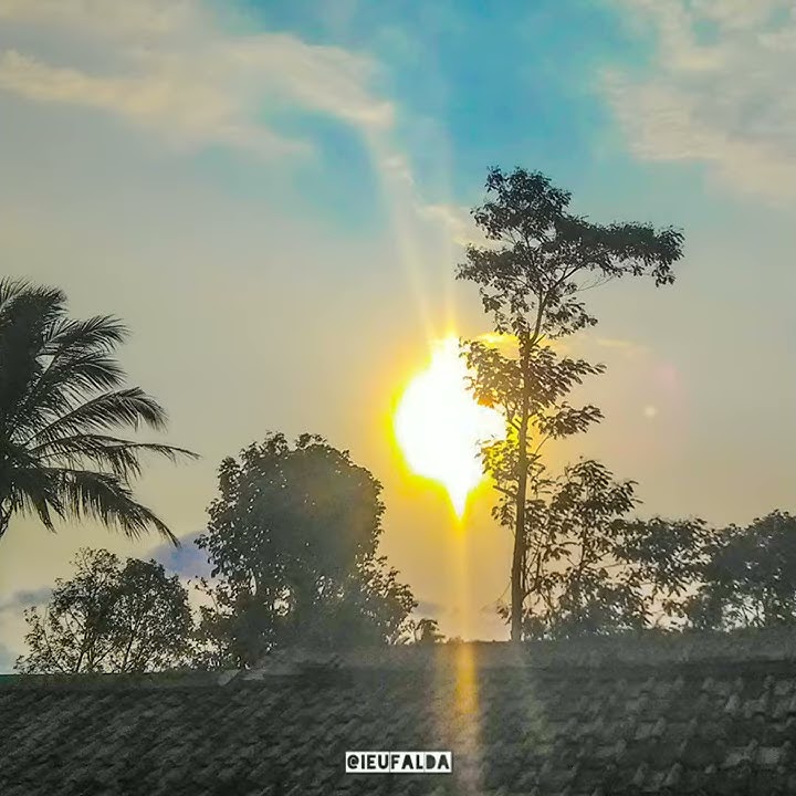 Story Wa Aurora Quotes