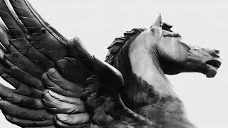 Above The Hood  Pegasus  