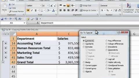 Use the Visible Cells Command to Copy Excel Subtotal Results