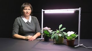 Обзор ламп для рассады и растений от компании Uniel