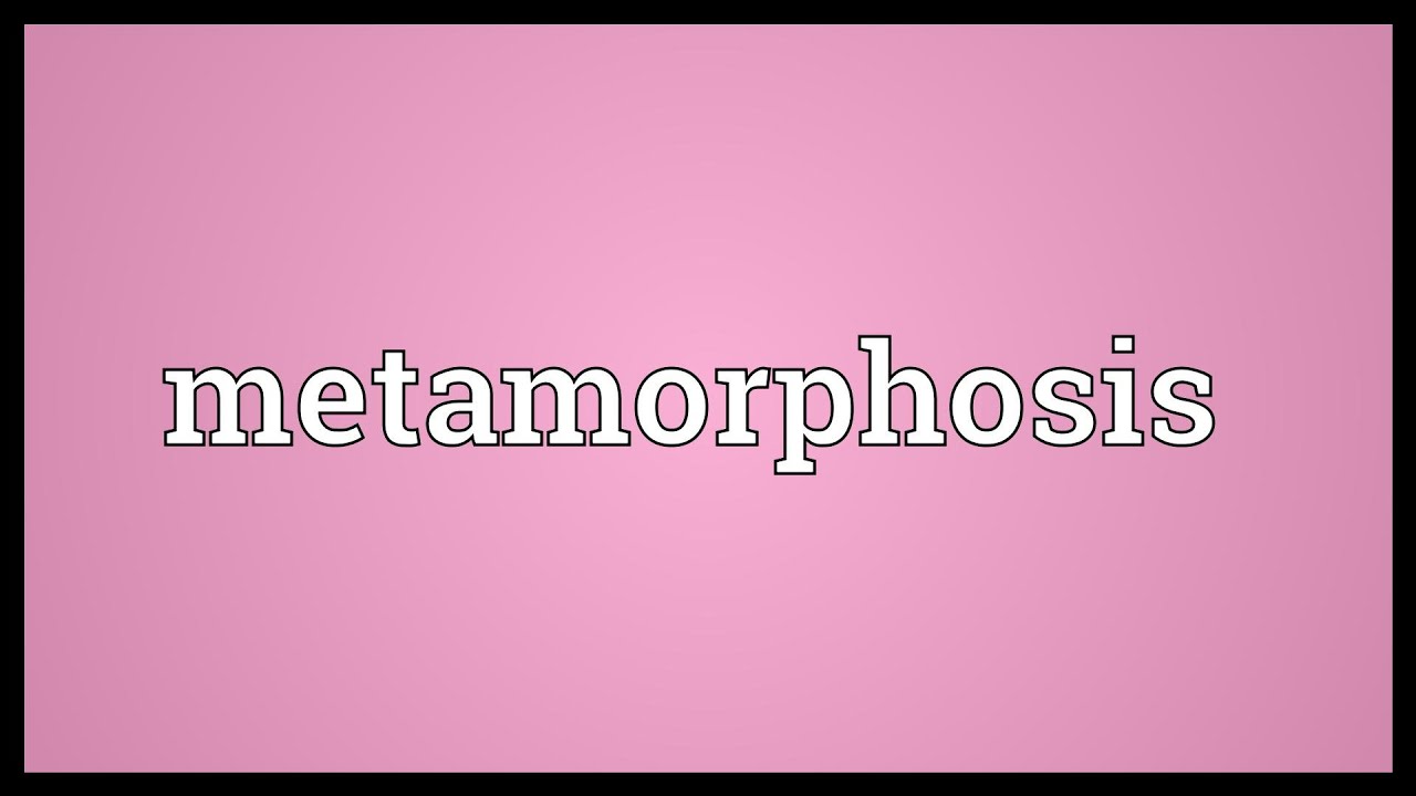 Metamorphosis Meaning - YouTube