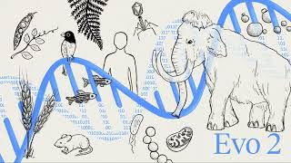 [deep research] "Evo 2: The Largest AI Model for Biology Unveiled by Top Institutions in G