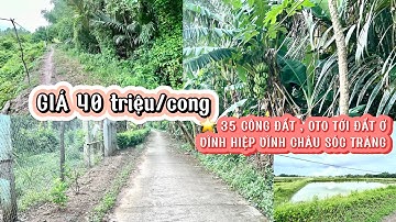 ⭐️ CỰC SÓC GIÁ 40 NGHÌN ĐỒNG CHO 1M2 ĐẤT , BÁN 35 000m2 ĐẤT Ở VĨNH CHÂU SÓC TRĂNG OTO TỚI ĐẤT #bđs