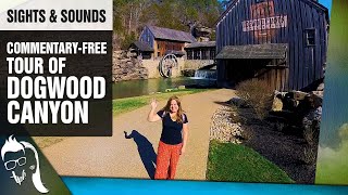 Dogwood Canyon Branson Missouri | Commentary Free Tour | Sights and Sounds by TPF! Travel Plus 4,440 views 1 year ago 17 minutes