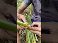 My mountain life | Fine Jungle Food #comedy #shorts #shortsyoutube #funny