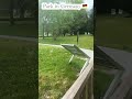 Park in Germany 🇩🇪