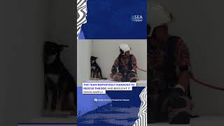 Dog 'Ignores' Firefighter That Tries To Rescue It