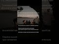 La persona promedio tiene cientos de contactos. Y muere con tres amigos de verdad.