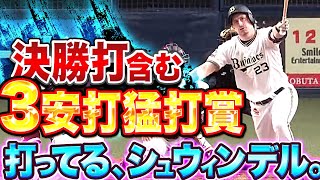 【決勝タイムリー】初出場で3安打猛打賞『打ってる、シュウィンデル』