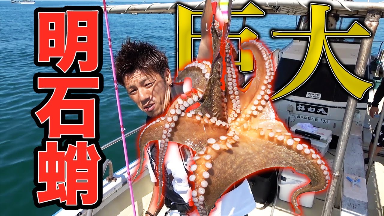 【兵庫遠征】本場明石でタコ釣りしたら大爆釣だった！