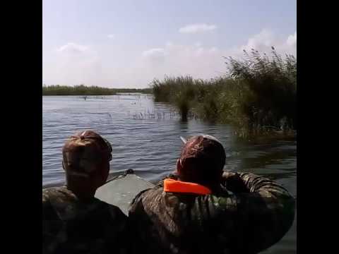 صيد الغر فى البحيرة