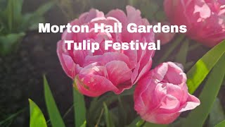 Morton Hall Gardens Tulip Festival