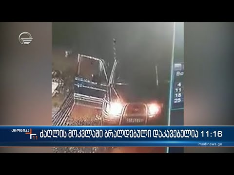 წალკაში ძაღლის იარაღით მოკვლის ფაქტზე ბრალდებული დაკავებულია